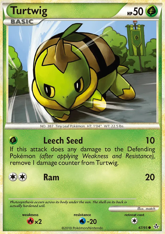 Image of the card Turtwig