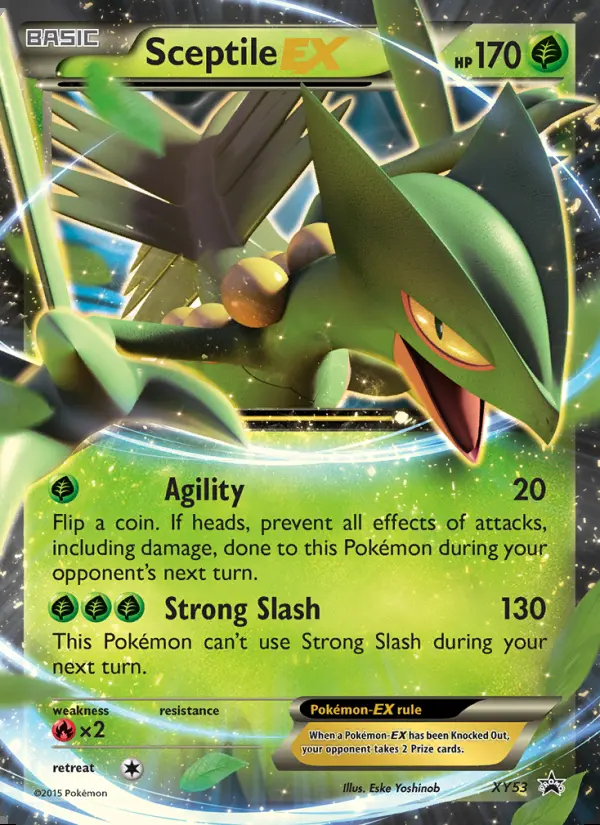 Image of the card Sceptile EX